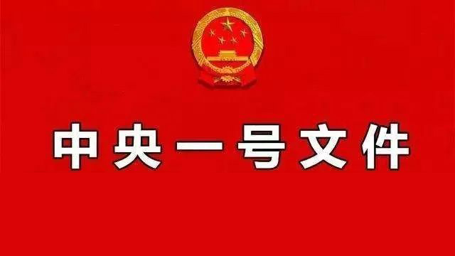 政策原文：2025年中央一号文件